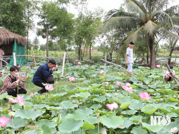 Ninh Phước thu hút du khách trong dịp nghỉ lễ 30/04 và 01/05 Ninh Phước thu hút du khách trong dịp nghỉ lễ 30/04 và 01/05