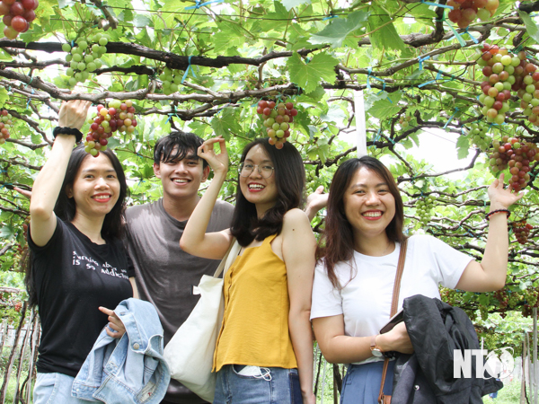 Ninh Phước thu hút du khách trong dịp nghỉ lễ 30/04 và 01/05 Ninh Phước thu hút du khách trong dịp nghỉ lễ 30/04 và 01/05